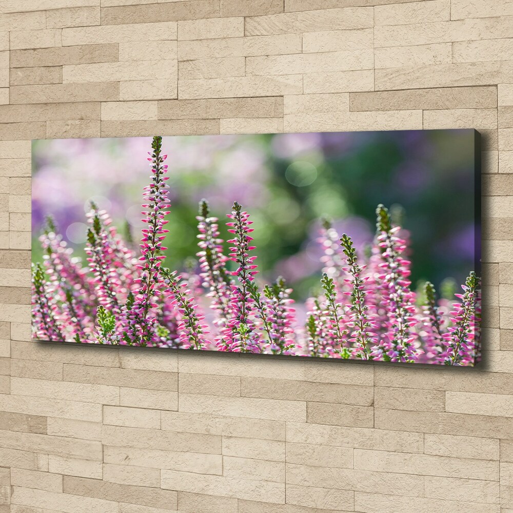 Canvas wall art Heather flowers