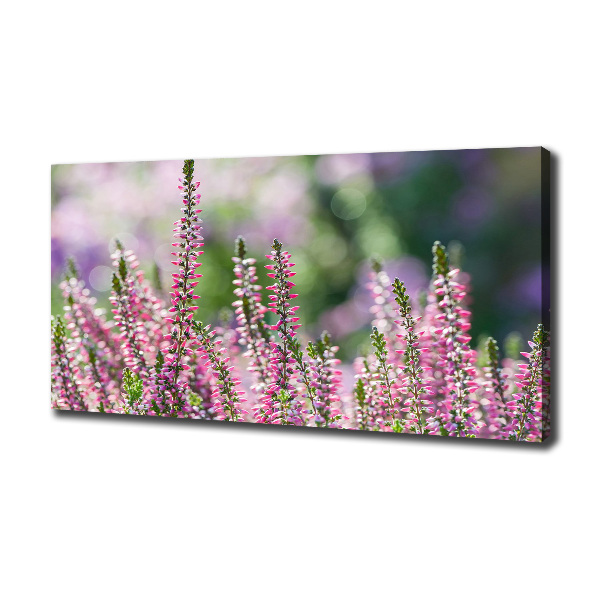 Canvas wall art Heather flowers