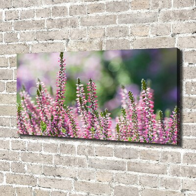 Canvas wall art Heather flowers