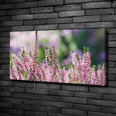 Canvas wall art Heather flowers