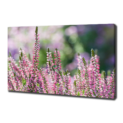 Canvas wall art Heather flowers