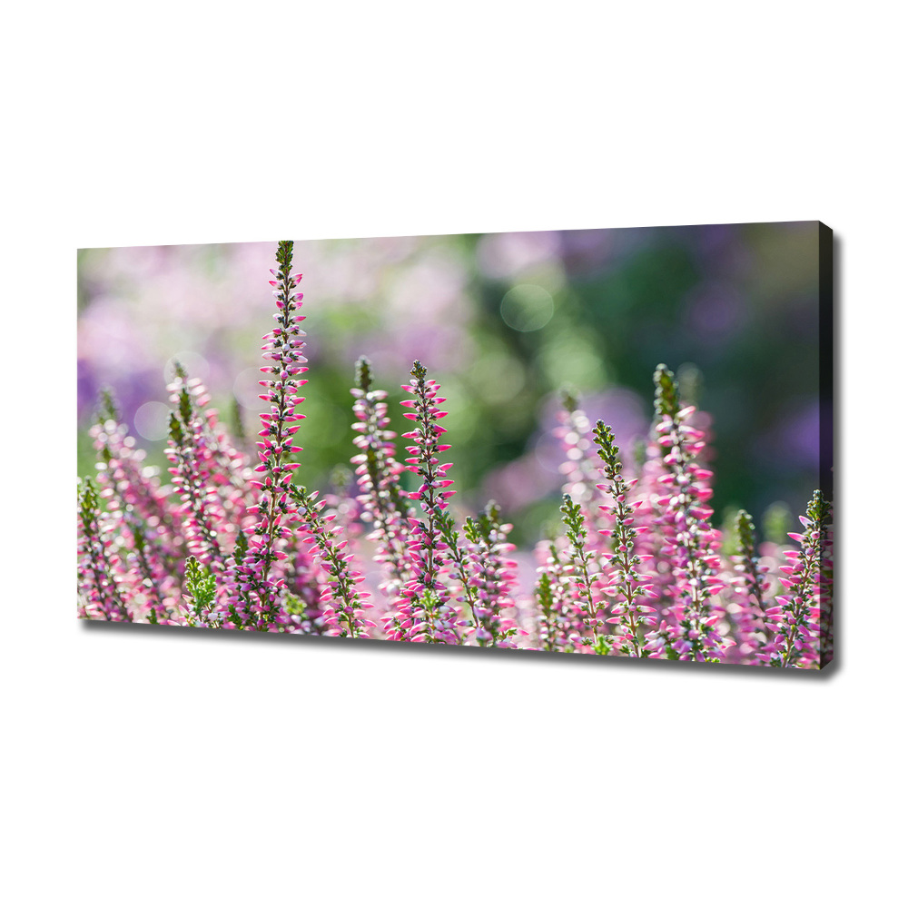 Canvas wall art Heather flowers