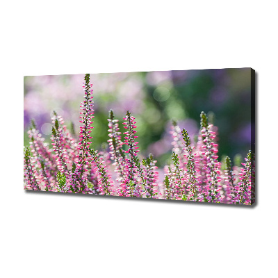 Canvas wall art Heather flowers