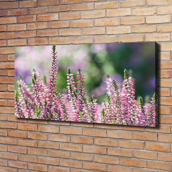 Canvas wall art Heather flowers