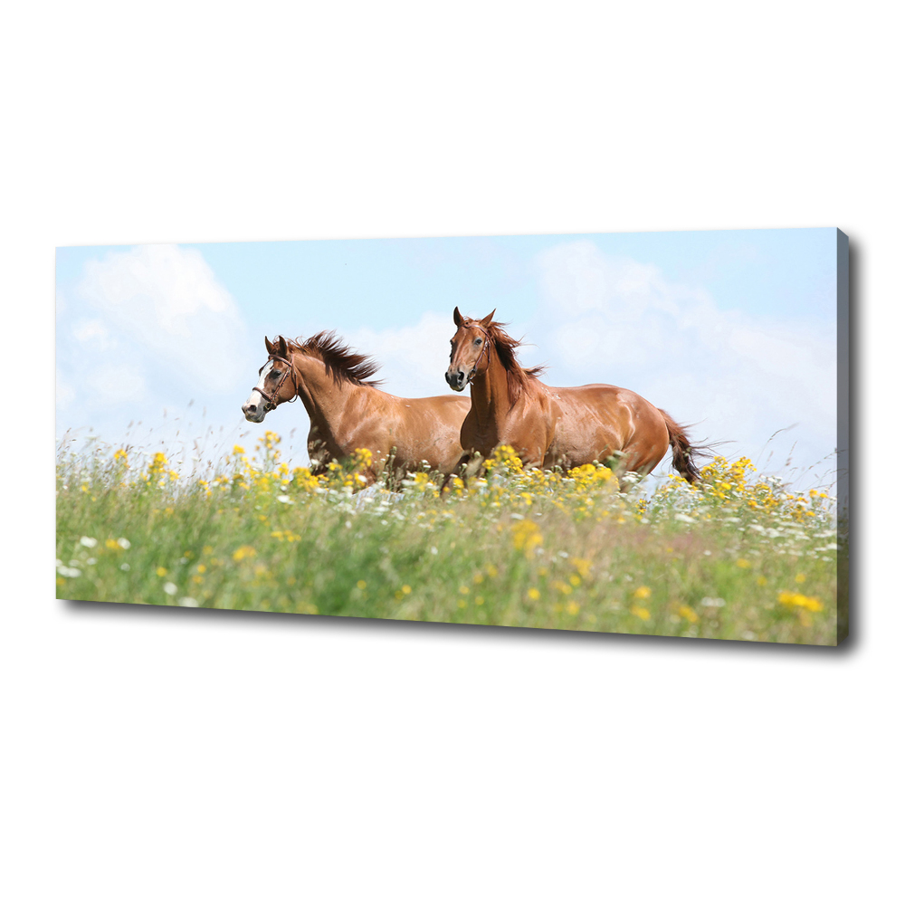 Canvas wall art Two horses at a gallop