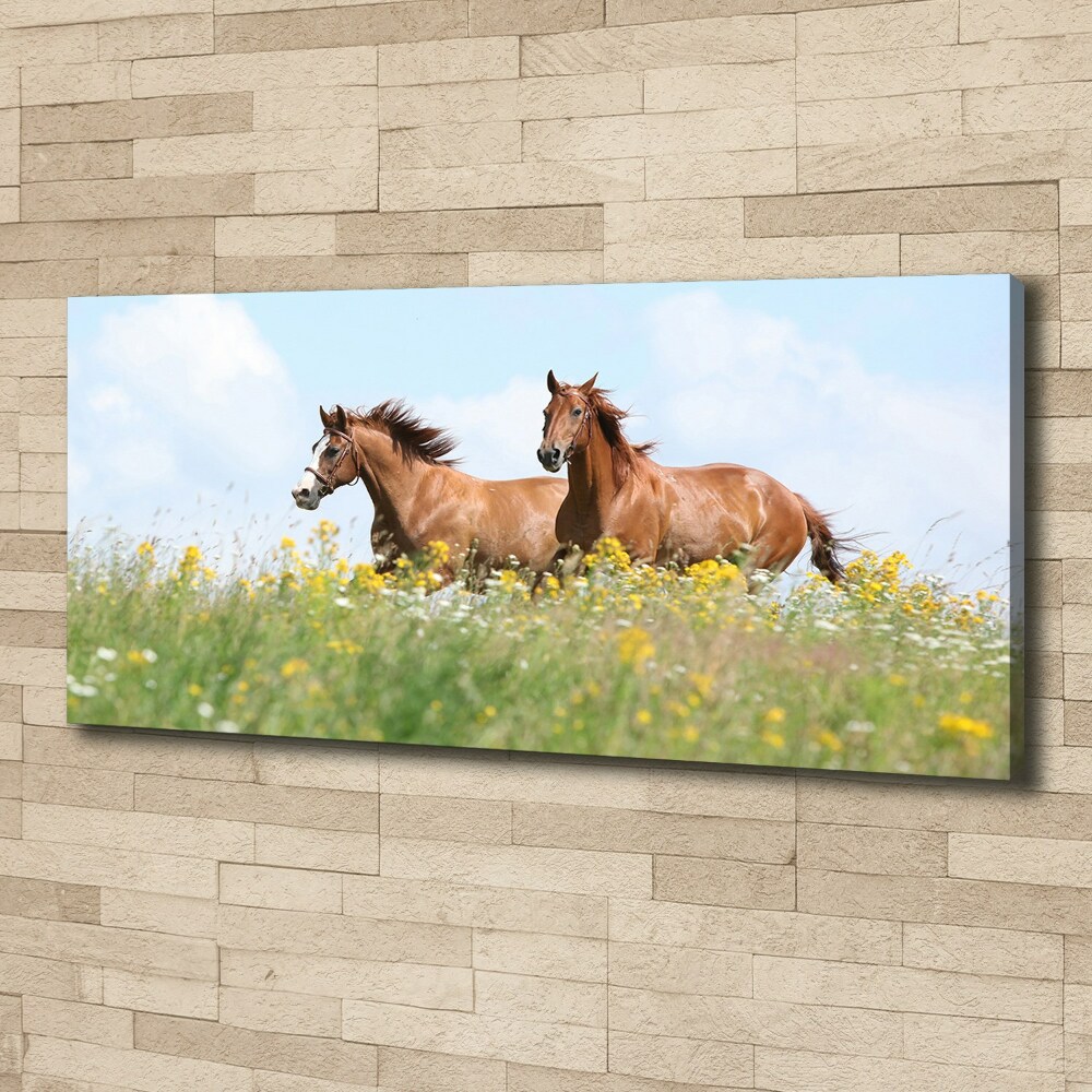 Canvas wall art Two horses at a gallop