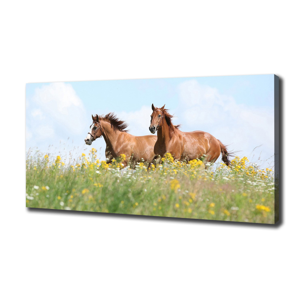 Canvas wall art Two horses at a gallop