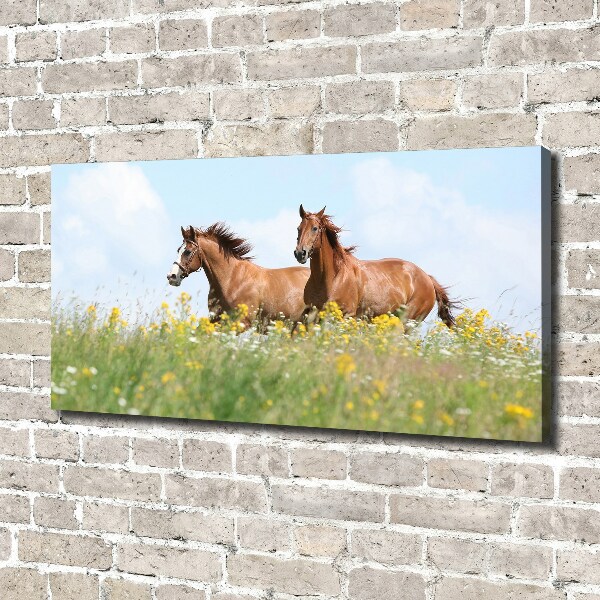 Canvas wall art Two horses at a gallop