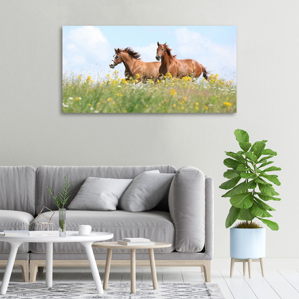 Canvas wall art Two horses at a gallop