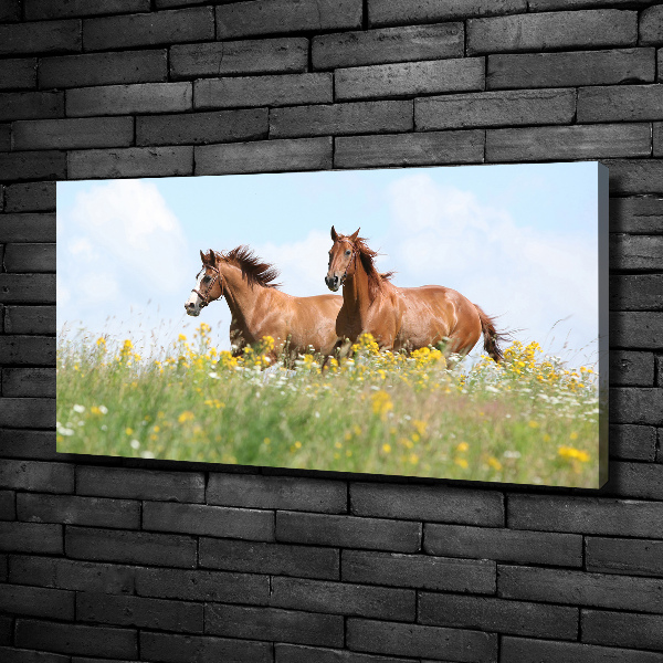 Canvas wall art Two horses at a gallop