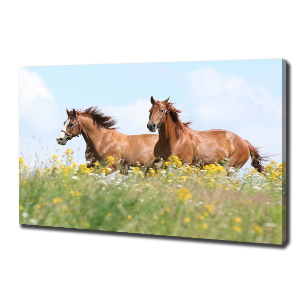 Canvas wall art Two horses at a gallop