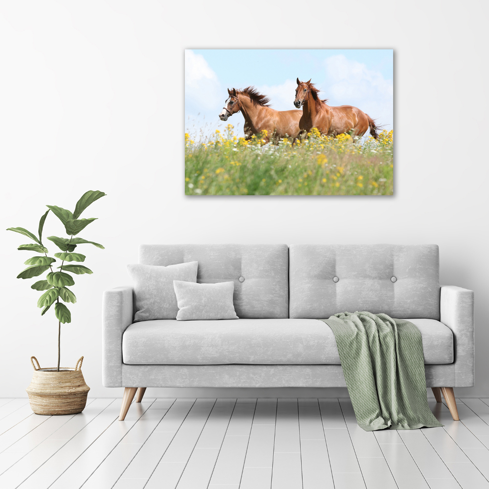 Canvas wall art Two horses at a gallop