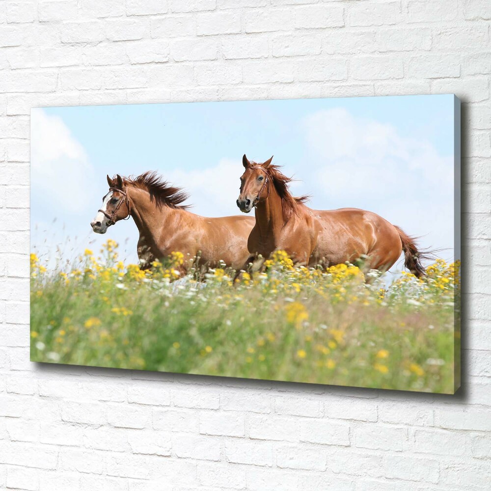 Canvas wall art Two horses at a gallop