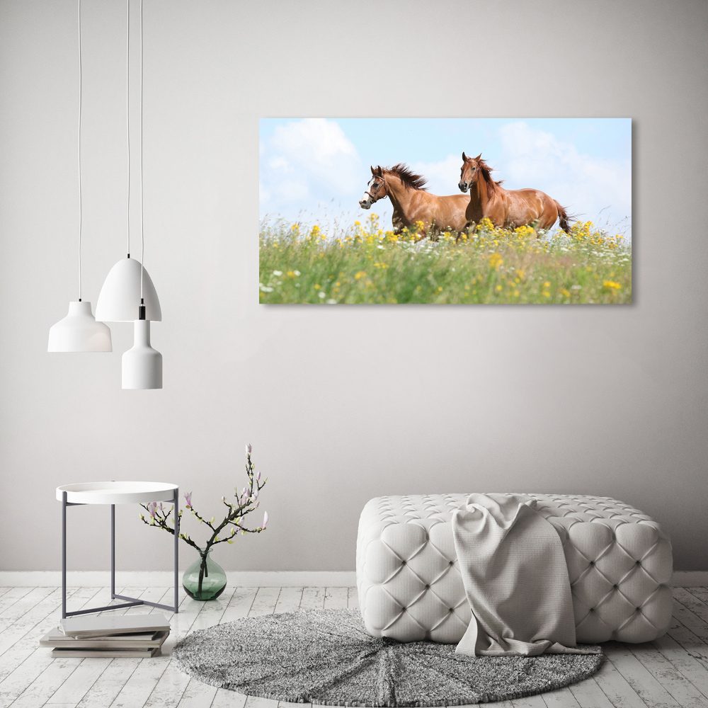 Canvas wall art Two horses at a gallop