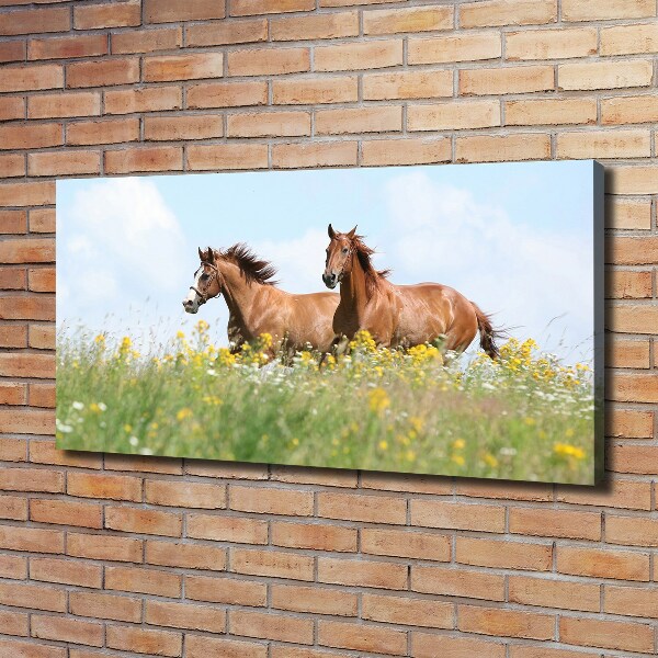 Canvas wall art Two horses at a gallop