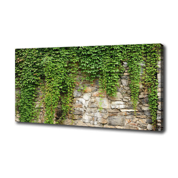 Canvas wall art Green ivy