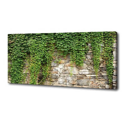 Canvas wall art Green ivy