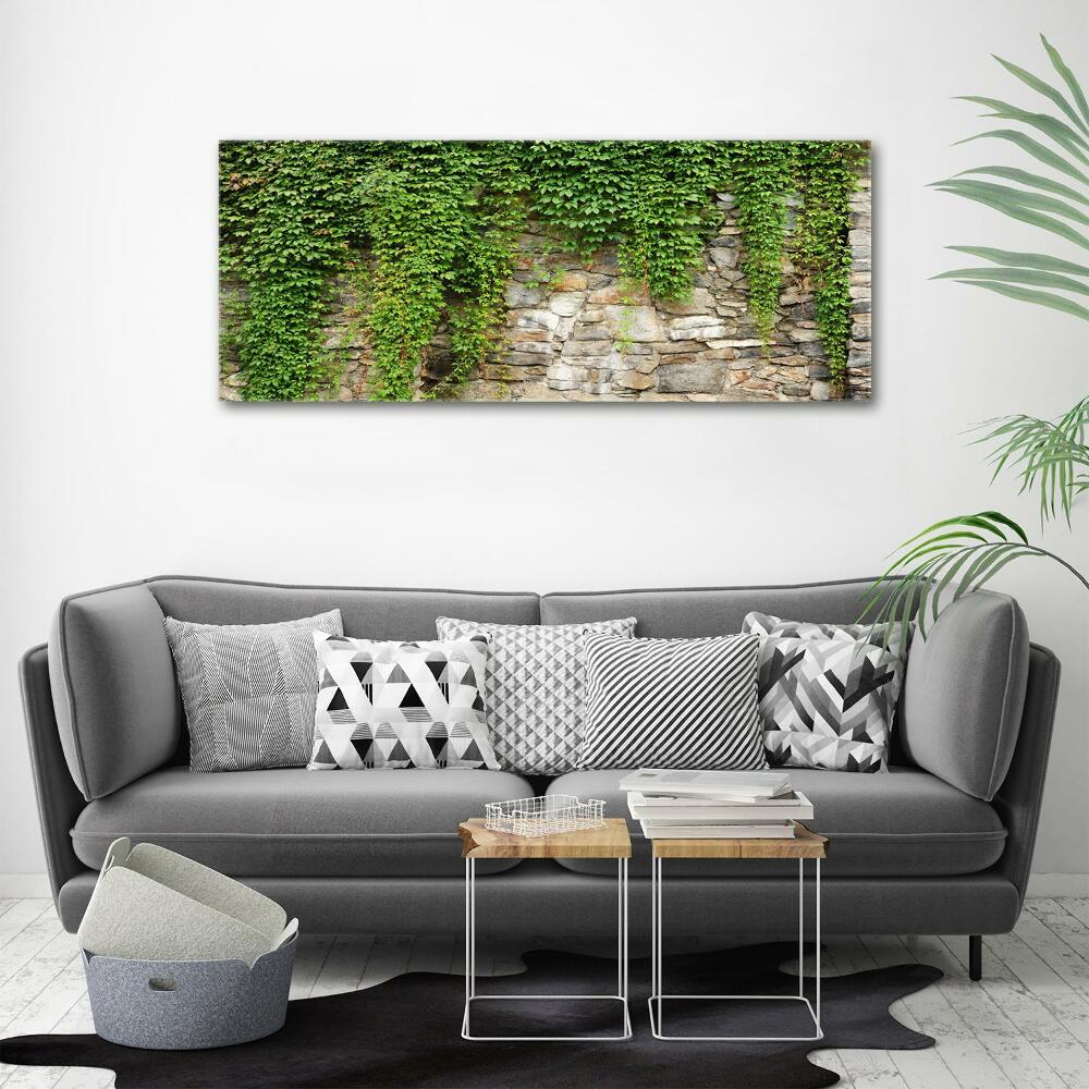 Canvas wall art Green ivy