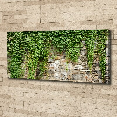 Canvas wall art Green ivy