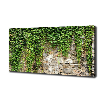 Canvas wall art Green ivy