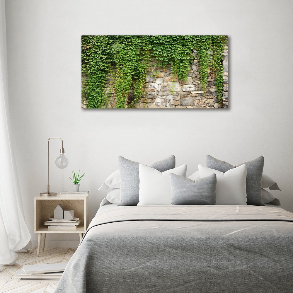 Canvas wall art Green ivy