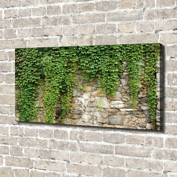 Canvas wall art Green ivy