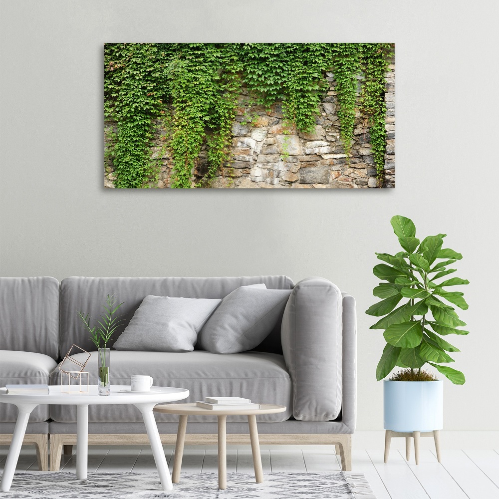 Canvas wall art Green ivy