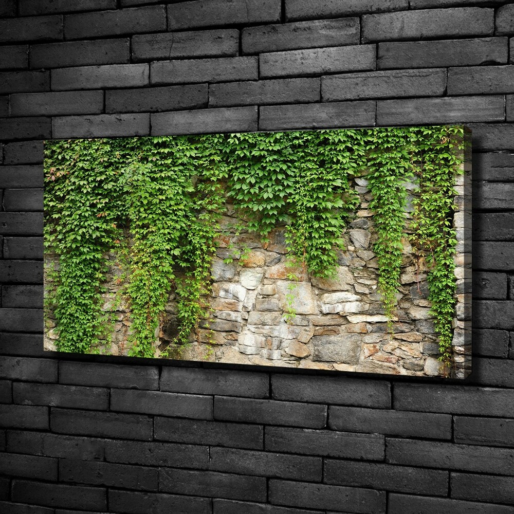 Canvas wall art Green ivy