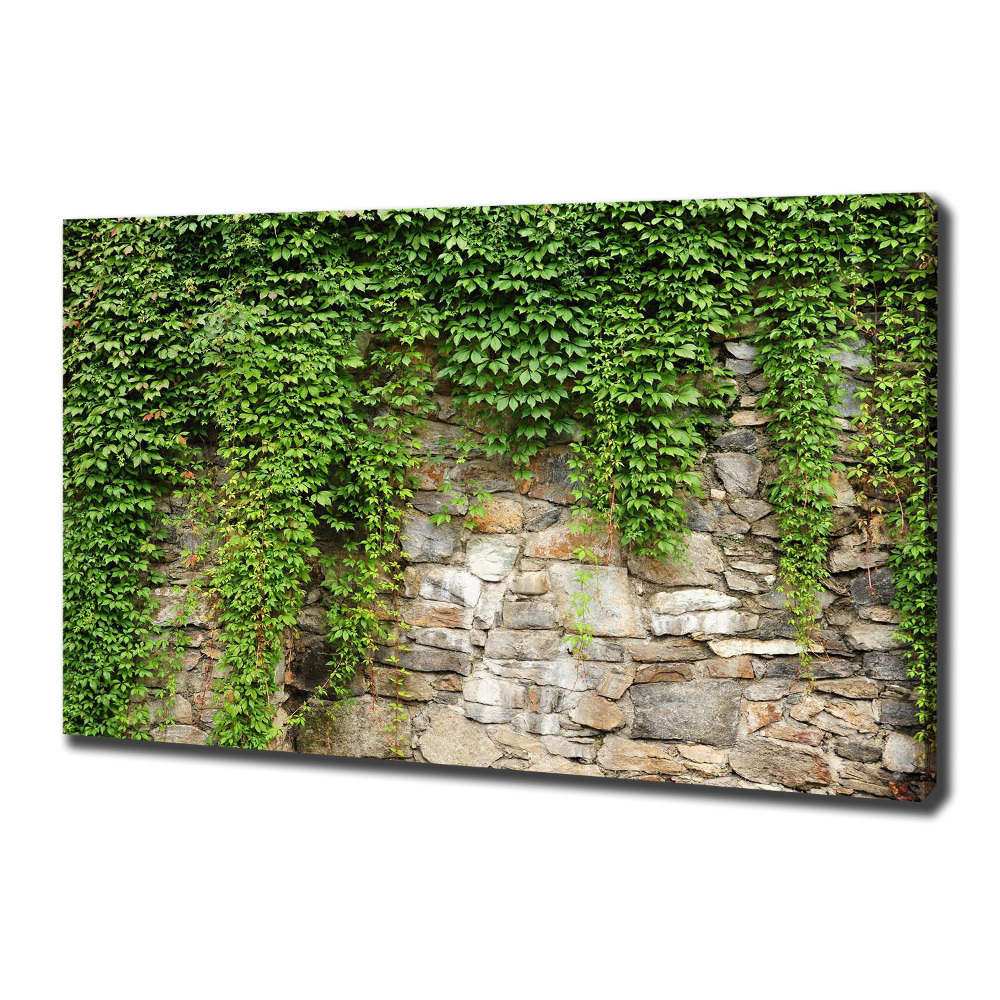 Canvas wall art Green ivy