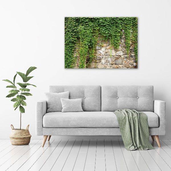 Canvas wall art Green ivy