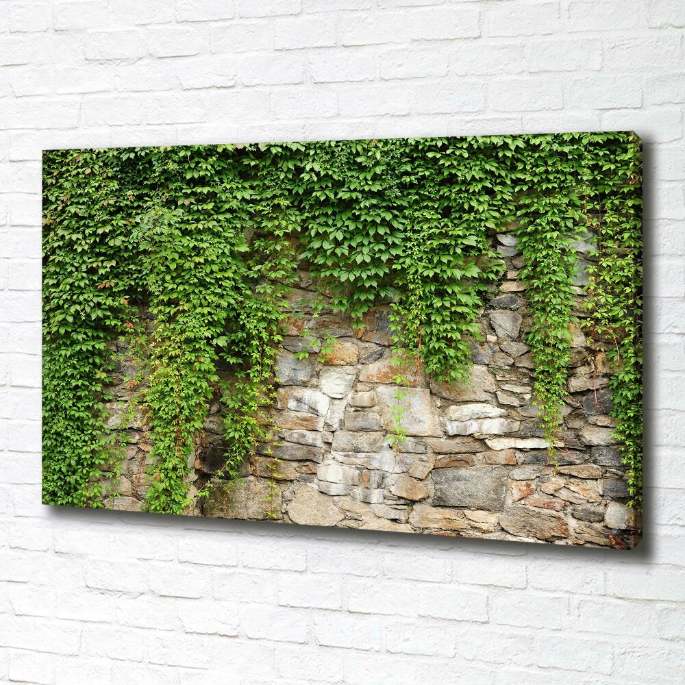 Canvas wall art Green ivy