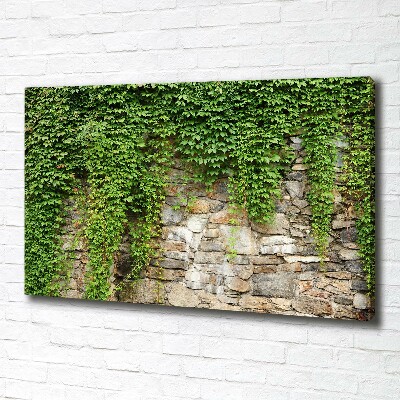 Canvas wall art Green ivy