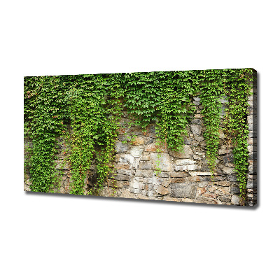 Canvas wall art Green ivy