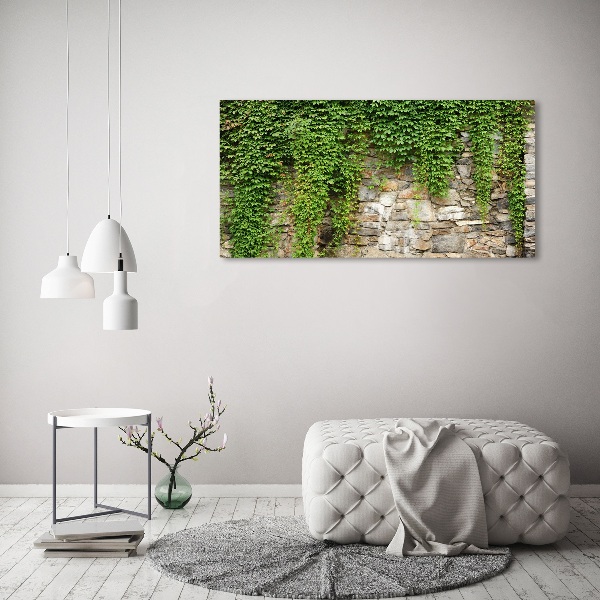 Canvas wall art Green ivy