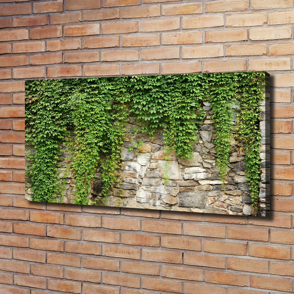 Canvas wall art Green ivy