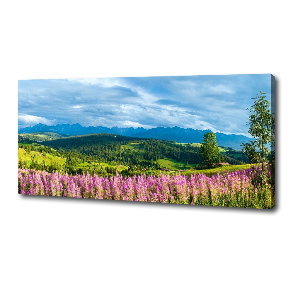 Canvas wall art Lavender in the mountains