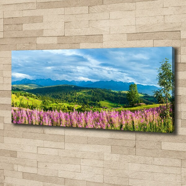 Canvas wall art Lavender in the mountains