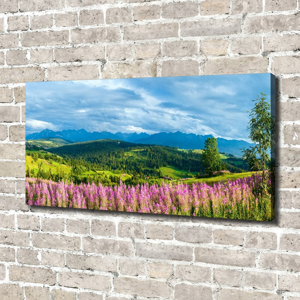 Canvas wall art Lavender in the mountains