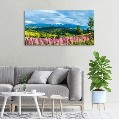 Canvas wall art Lavender in the mountains