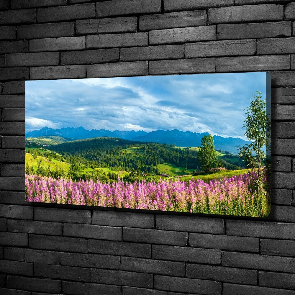 Canvas wall art Lavender in the mountains