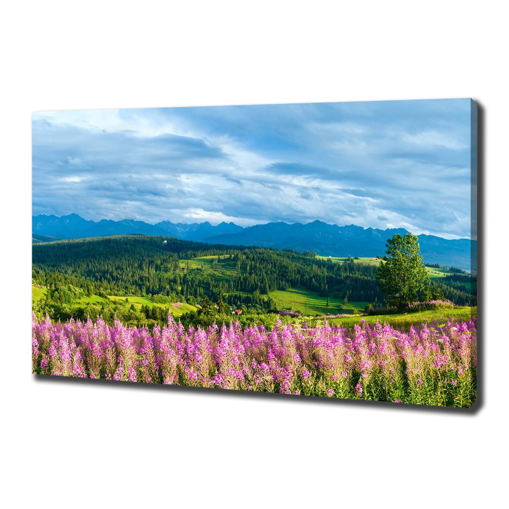 Canvas wall art Lavender in the mountains