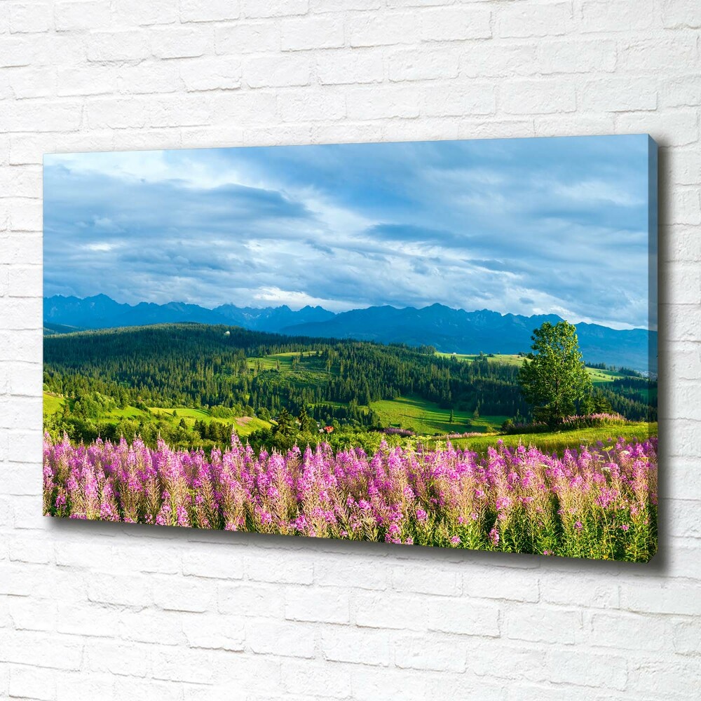 Canvas wall art Lavender in the mountains