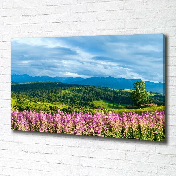 Canvas wall art Lavender in the mountains