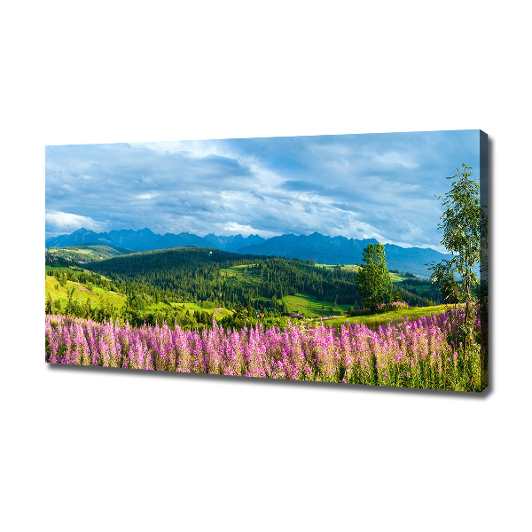 Canvas wall art Lavender in the mountains