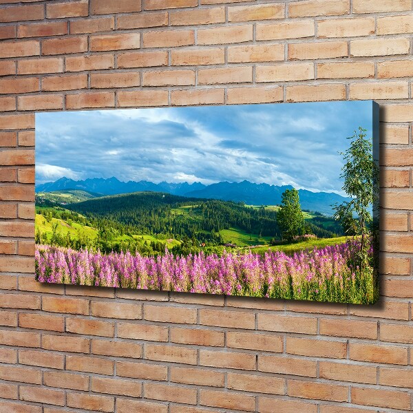 Canvas wall art Lavender in the mountains