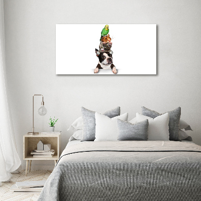 Canvas wall art Animal group