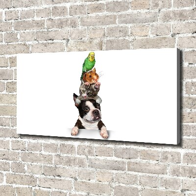 Canvas wall art Animal group