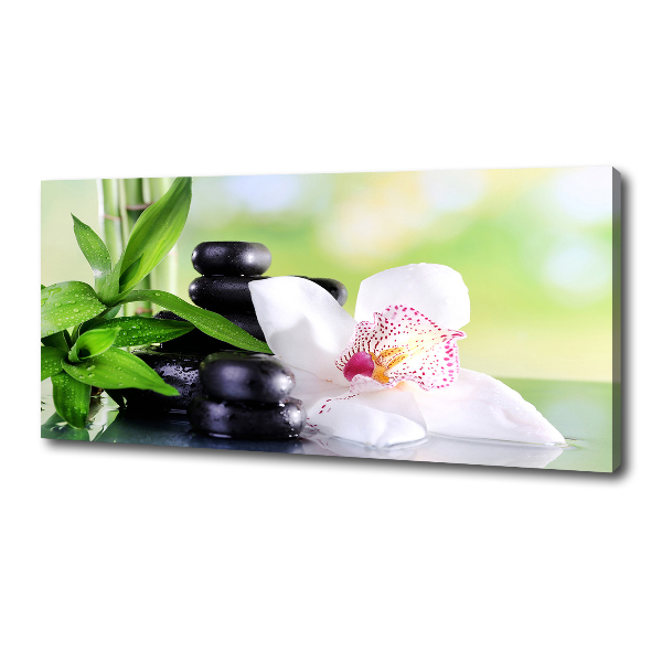 Canvas wall art Orchid