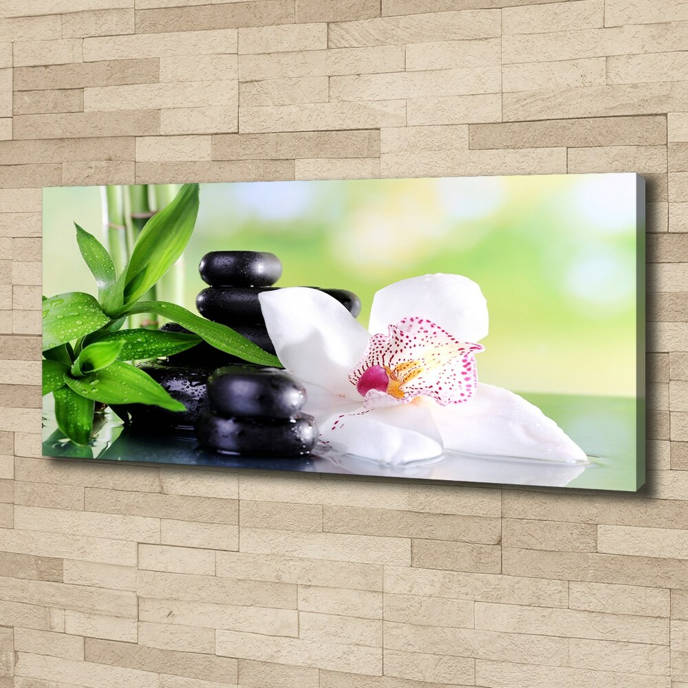 Canvas wall art Orchid