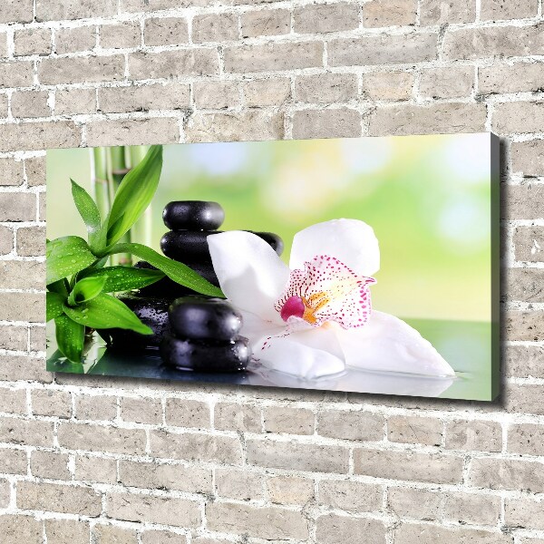 Canvas wall art Orchid